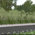 Natural Scenic Garden Landscape With Lush Trees Green Lawn White Low Wall And Tall Grasses
