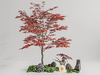 Tree Landscape Tree Red Maple Plant Pile 3d model