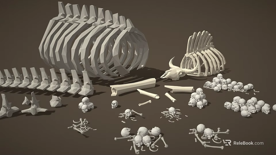 Detailed 3D Skeleton Limb Bones Models With Skull Ribs And Small Bone Parts 3d model 