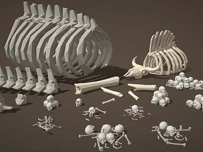 Detailed 3D Skeleton Limb Bones Models With Skull Ribs And Small Bone Parts 3d model