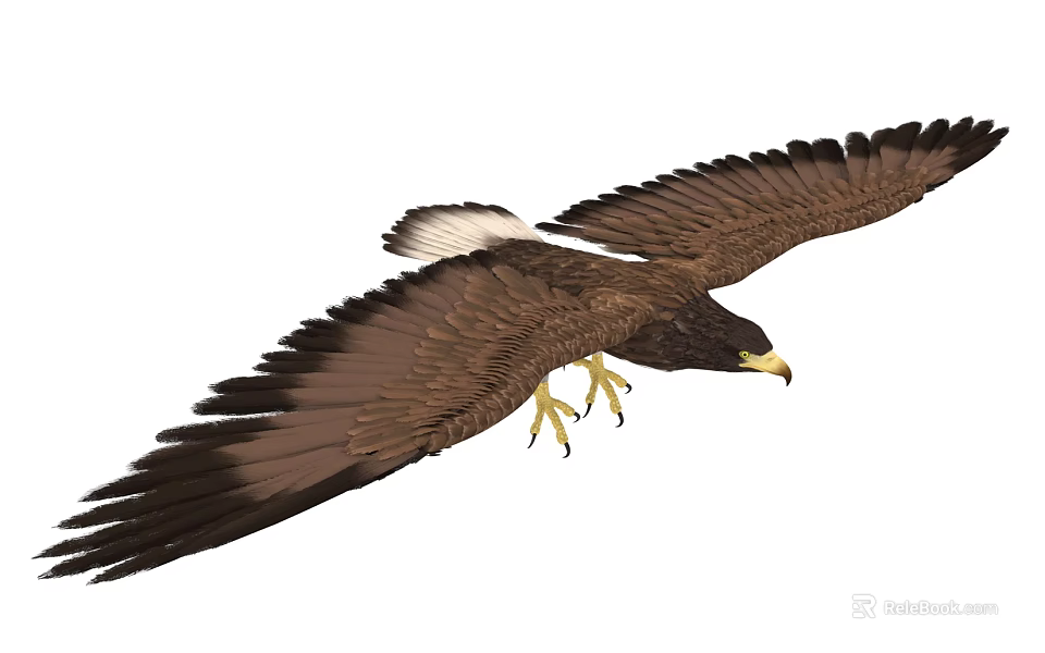 Majestic Flying Eagle Soaring High With Spread Wings And Sharp Talons 3d model 