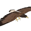 Majestic Flying Eagle Soaring High With Spread Wings And Sharp Talons