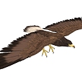 Modern Eagle 3d model