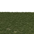 Garden Ornament With Lush Green Grass And Natural Lawn Design