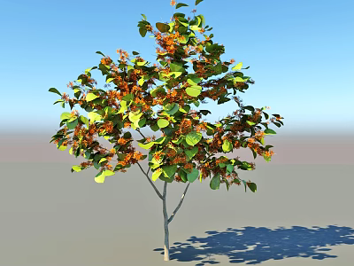 Lush Arbor Featuring Green Leaves And Orange Flowers Against Blue Sky With Ground Shadow 3d model