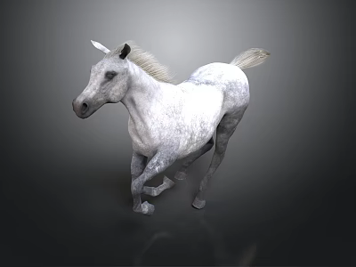 White Horse Running on Dark Background with Dynamic Posture and Detailed Fur 3d model