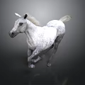 White Horse Running on Dark Background with Dynamic Posture and Detailed Fur