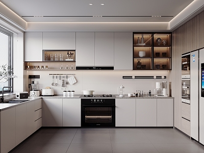 Modern Kitchen model