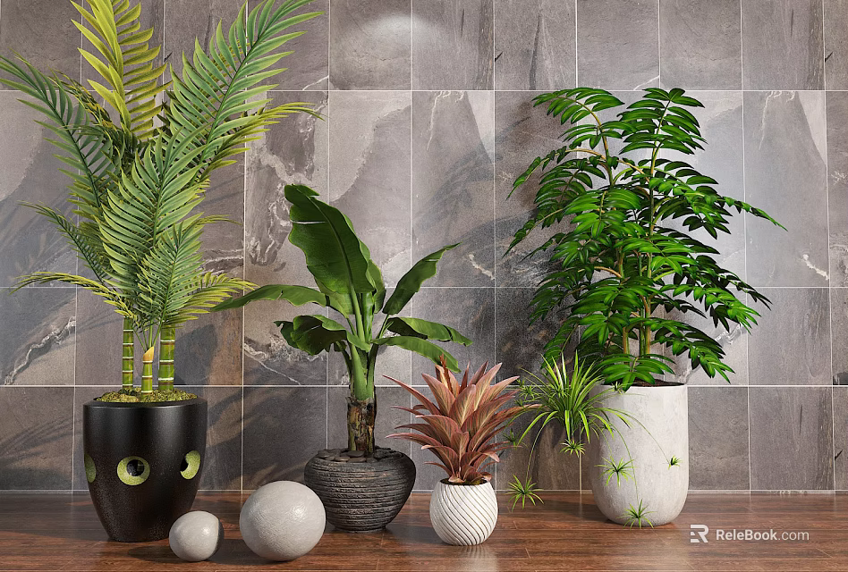 Various Bonsai Potted Plants in Decorative Pots on Wooden Floor With Gray Brick Wall 3d model 