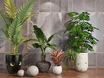 Various Bonsai Potted Plants in Decorative Pots on Wooden Floor With Gray Brick Wall 3d model