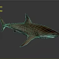 Realistic Brown Shark With Sharp Dorsal Fin And Muscular Body On Dark Background