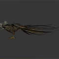 Realistic Eagle With Spread Wings And Detailed Feathers On White Background 3d model