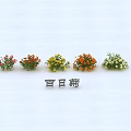 Vibrant Zinnia Flower Pots Displaying Red Orange Yellow And White Blooms