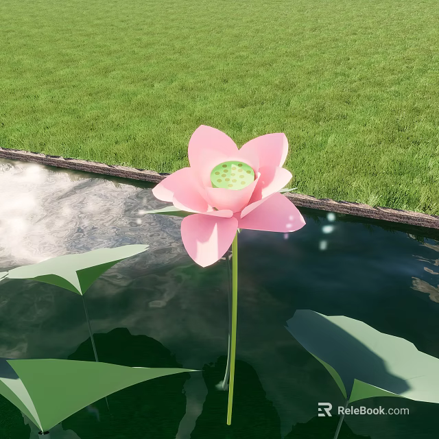 Aquatic Plant Lotus Flower With Green Leaves Growing In Water Near Green Grass 3d model 