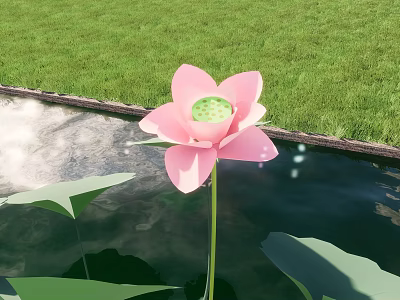 Aquatic Plant Lotus Flower With Green Leaves Growing In Water Near Green Grass 3d model