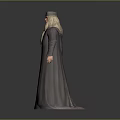 Wise Looking Game Movie Character Wearing Long Robe Hat And White Beard