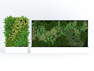 Lush Green Wall Design With Various Plant Species For Indoor Decor 3d model