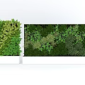 Lush Green Wall Design With Various Plant Species For Indoor Decor