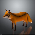 Red Fox With Orange Red Fur Standing On Gray Background With Reflection 3d model