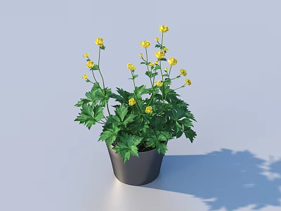 Decorative Bonsai Potted Plant with Yellow Flowers and Green Leaves in Black Pot 3d model