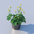 Decorative Bonsai Potted Plant with Yellow Flowers and Green Leaves in Black Pot