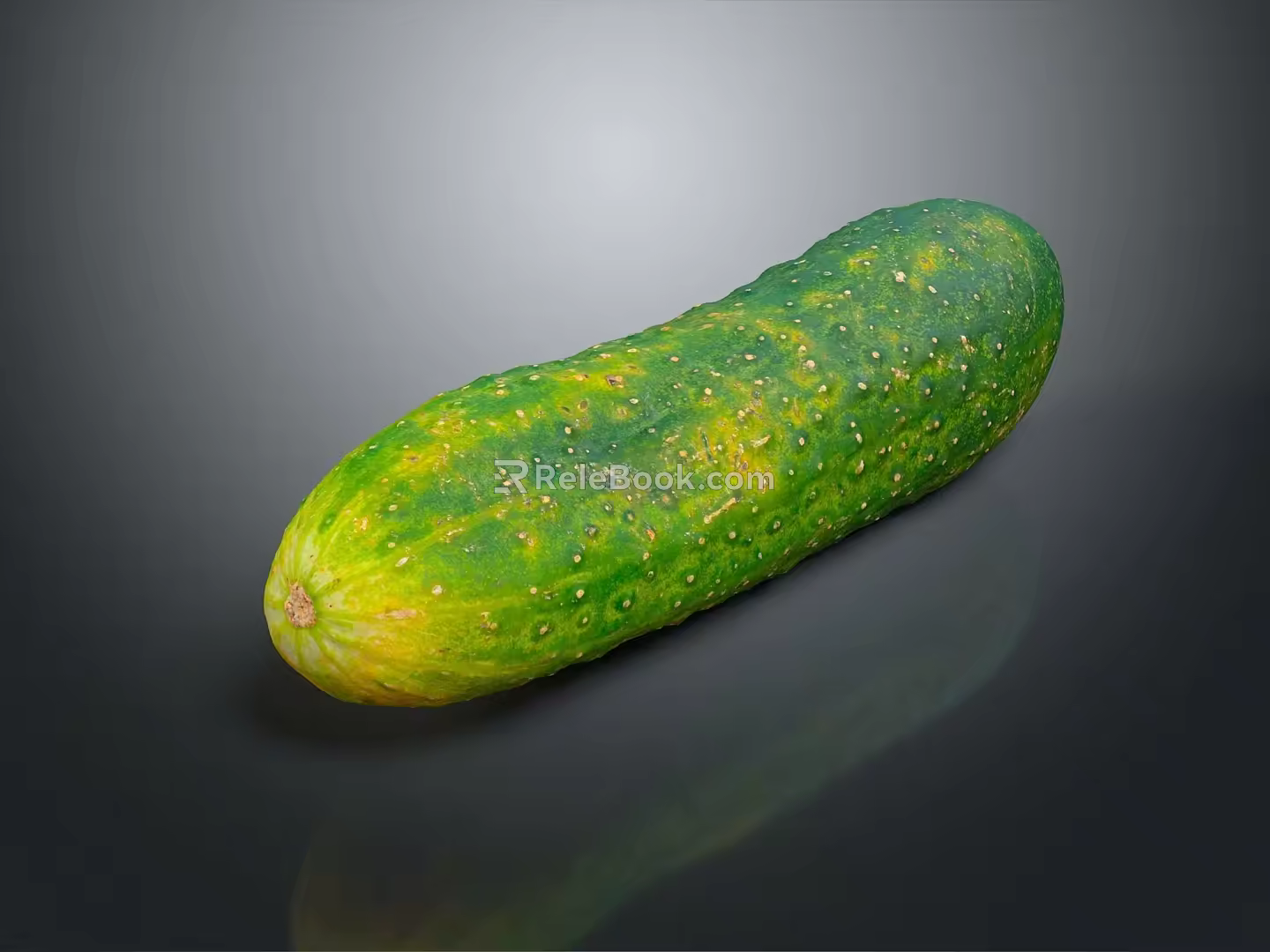 White Cucumber Water Cucumber Dry Cucumber Green Cucumber South China Cucumber European Greenhouse Cucumber Fruit Cucumber 3d model