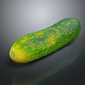 White Cucumber Water Cucumber Dry Cucumber Green Cucumber South China Cucumber European Greenhouse Cucumber Fruit Cucumber 3d model