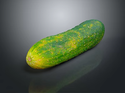 White Cucumber Water Cucumber Dry Cucumber Green Cucumber South China Cucumber European Greenhouse Cucumber Fruit Cucumber 3d model