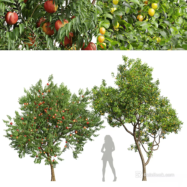 Lush Fruit Trees With Red And Yellow Fruits And Green Leaves 3d model 