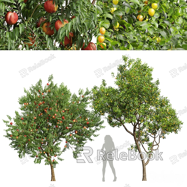 peach tree apricot tree landscape tree model