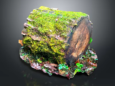 Lush Moss And Small Plants Growing On Tree Stump With Colorful Leaves 3d model