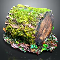 Lush Moss And Small Plants Growing On Tree Stump With Colorful Leaves