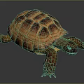 Realistic Tortoise With Brown Yellow Shell And Detailed Textured Skin On Dark Background
