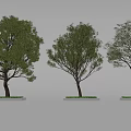 Landscape Trees Garden Trees 3d model