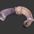 Detailed Curved Animal Horn Organ with Purple Light Brown Hair-like Textured Surface
