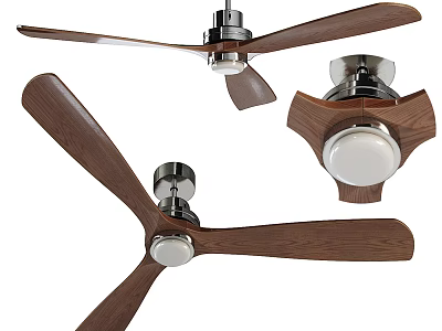 Fan light ceiling fan light 3d model