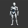 Humanoid Robot With White Blue Mechanical Structure Standing On Reflective Surface