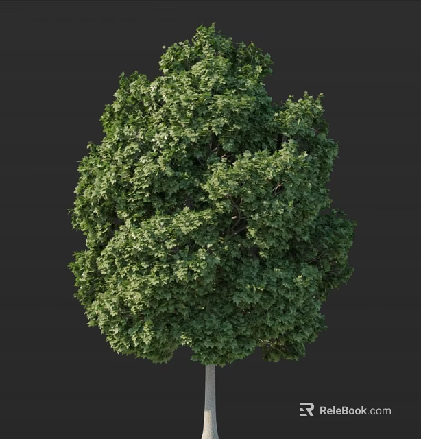 Lush Green Arbor With Dense Foliage And Rounded Canopy Structure 3d model