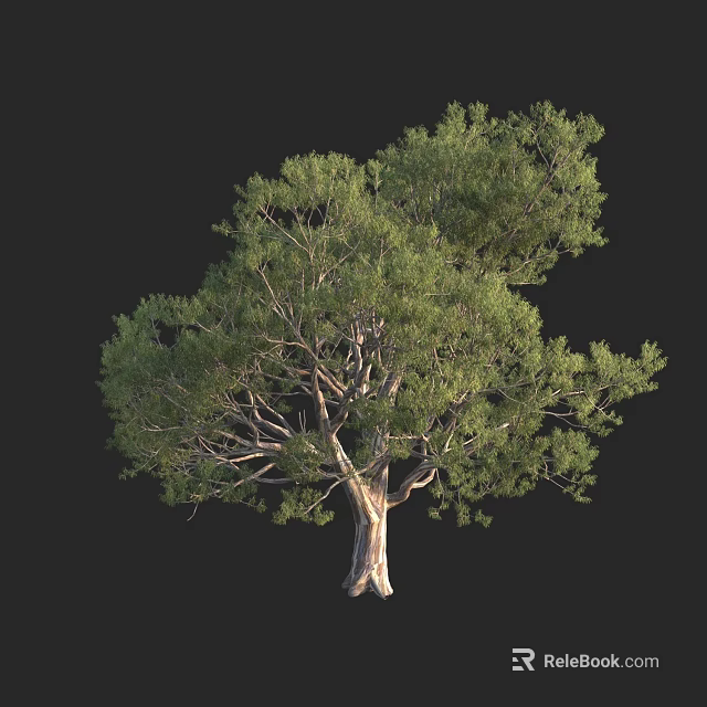 Luxuriant Arbor Tree With Thick Trunk And Lush Green Foliage Structure 3d model