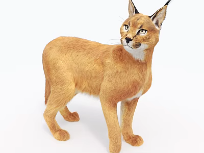 Alert Brown Reptile Standing On White Surface With Sharp Features And Scaly Body 3d model