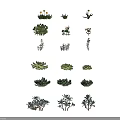 Various Green Succulent Plants With Different Leaf Shapes And Arranged Display Features 3d model