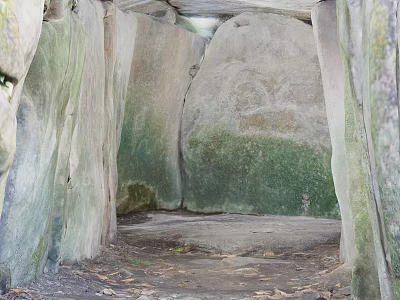 Ancient Stone Structure Natural Landscape With Moss Covered Rocks Leaf Covered Ground And Sunlight 3d model