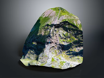 Garden Landscape Design With Mountain View Green Vegetation Stone Pathway And Natural Elements 3d model