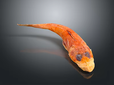 Orange Fish Shaped Household Item in Curved Shape with Reflection on Black Surface 3d model