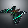 Vibrant Butterfly With Black And Green Striped Wings On Gray Background