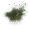 Decorative Ornament Set With Herbaceous Plants Green And Light Brown Grass Blades For Home Decor