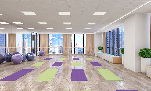 Modern Yoga Room Dance Yoga Room 3d model