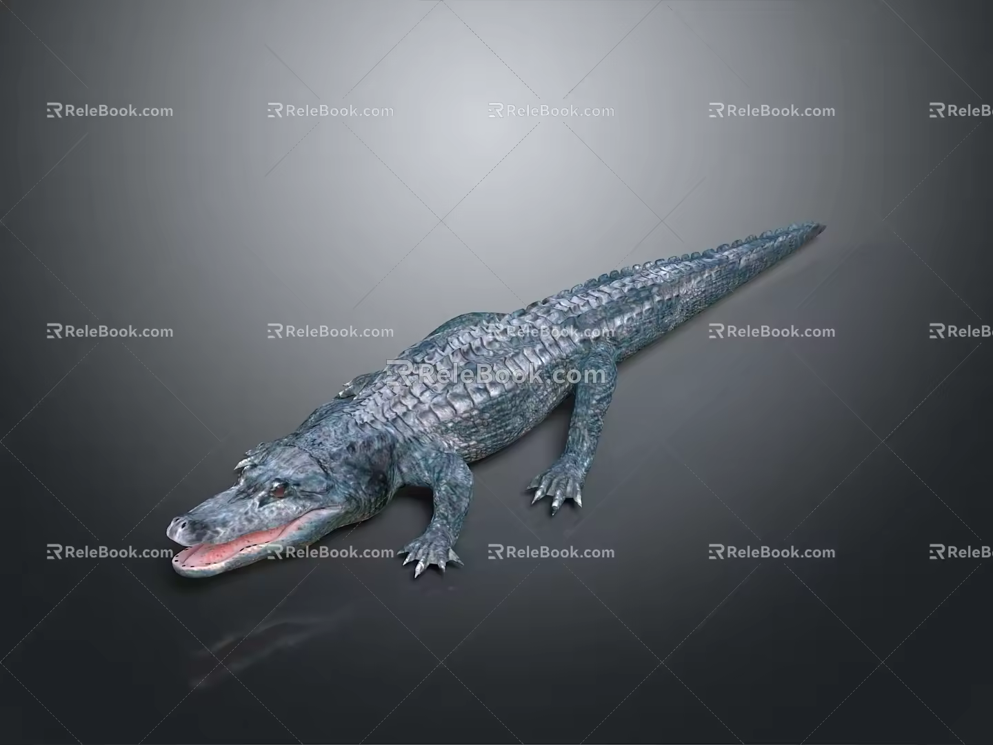 Crocodile Alligator Nile Crocodile carnivore reptile cold-blooded animal reptile 3d model