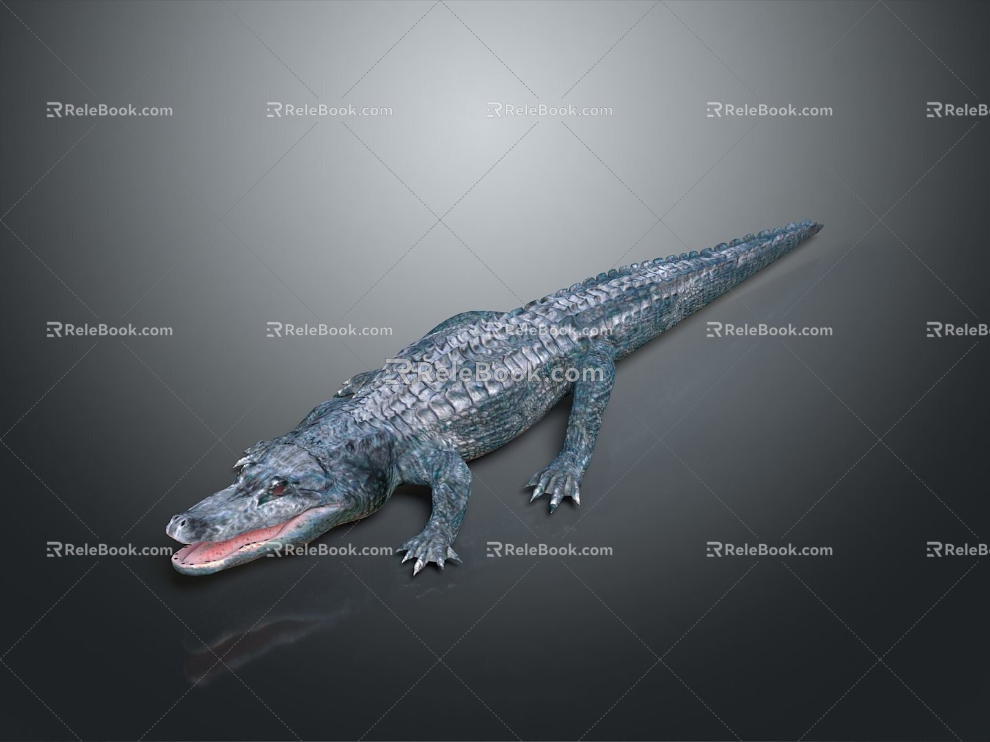 Crocodile Alligator Nile Crocodile carnivore reptile cold-blooded animal reptile reptile 3d model