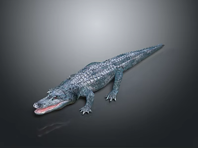 Reptile Crocodile 3D Model With Blue Scales Open Mouth On Dark Background 3d model
